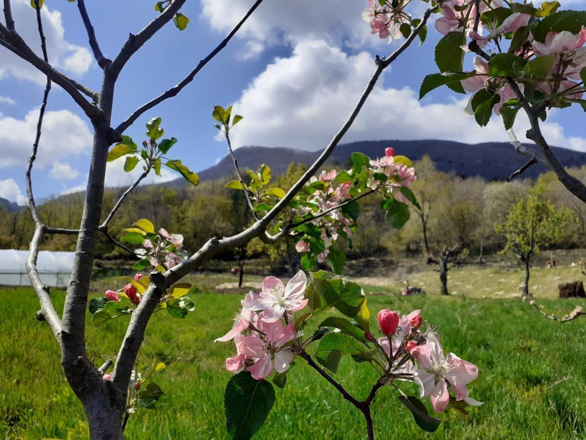 Ca Gennara Agri B&B Porretta Terme Exterior foto